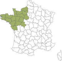 France ouest