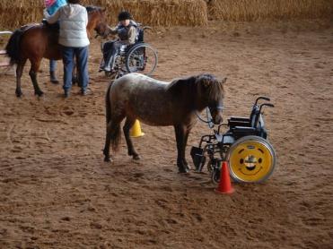 équitation, stage de perfectionnement 