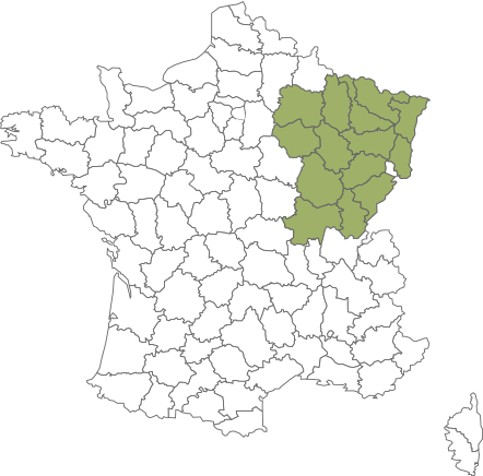 région est région est