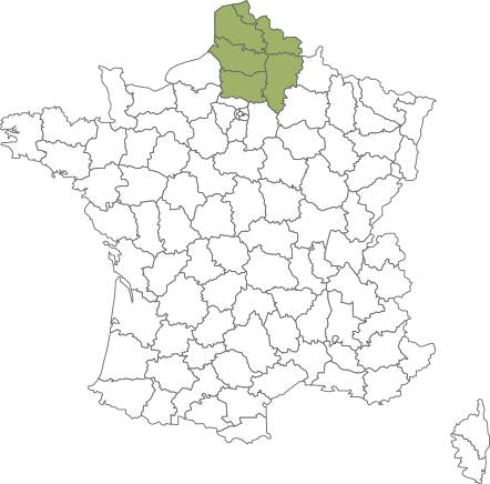région nord région nord