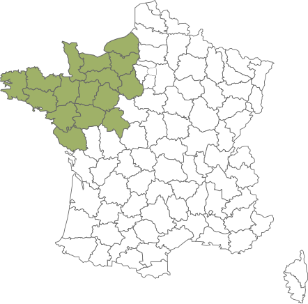 région ouest région ouest