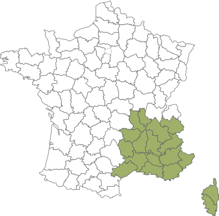 Région sud-est Région sud-est