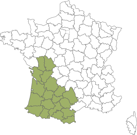Région sud-ouest Région sud-ouest